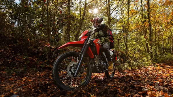 XR 300L Tornado detalhe traseiro